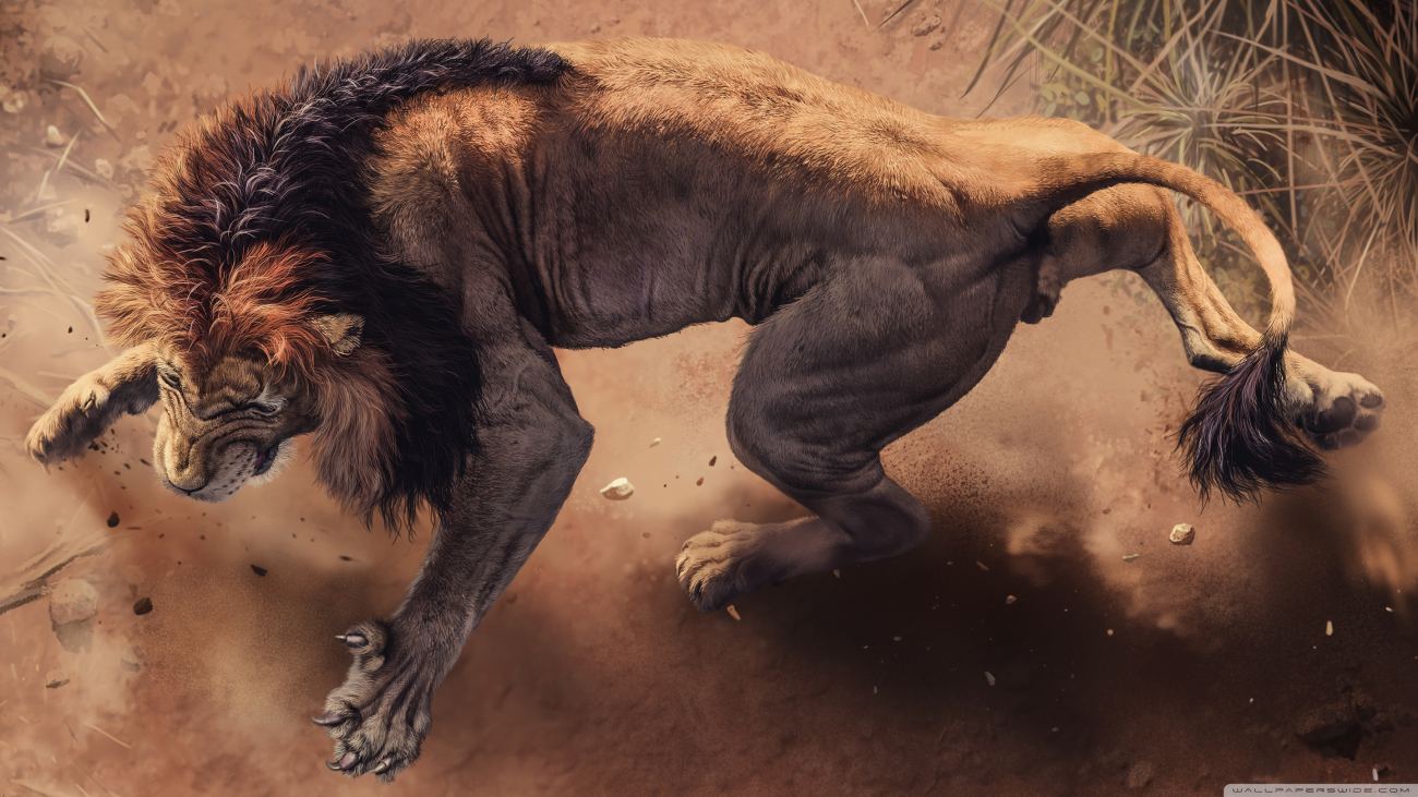 Download Beautiful Angry Lion Ultrahd Wallpaper